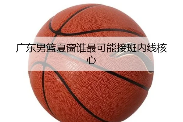 广东男篮夏窗谁最可能接班内线核心